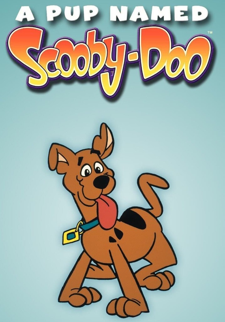 A Pup Named ScoobyDoo streaming tv show online